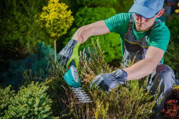 landscaping services Fostoria